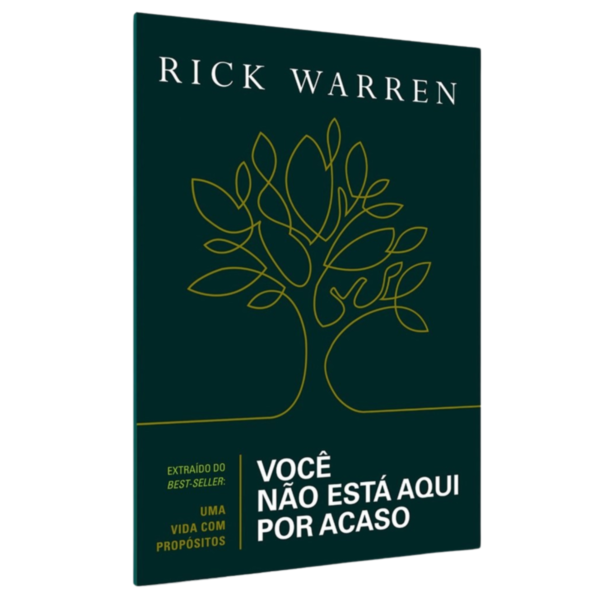 Você Não Está Aqui Por Acaso | Rick Warren
