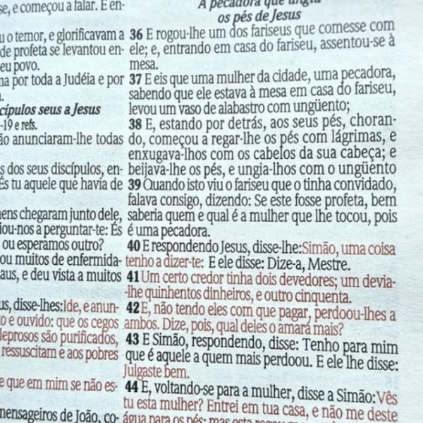Bíblia Feminina Leão Seja Forte E Corajosa Letras Médias Com Harpa E Índice - Image 3